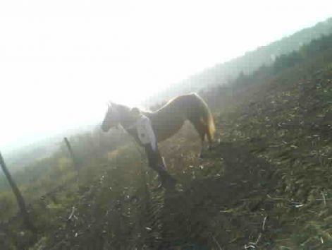 fenykep_2173.jpg